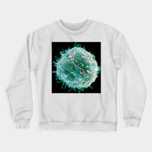 Stem cell, SEM (G442/0451) Crewneck Sweatshirt
